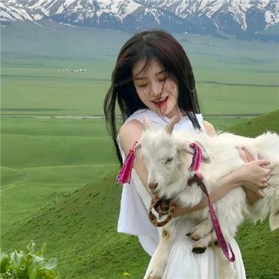 美国的早晨 封面